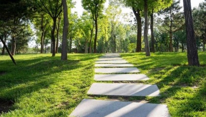 散步，科学家的灵感源泉