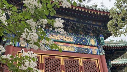 北海团城“三白共舞”美景上线，游客打卡