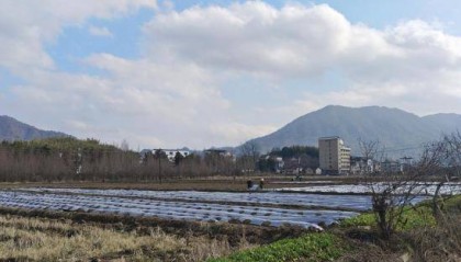 宣城旌德：“黄金果”铺就致富路