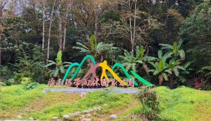 探访海南热带雨林 看国家公园“海南样板”