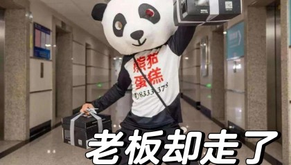 熊猫平台(熊猫下载官网)