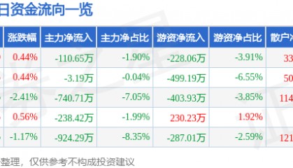 股票行情快报：湘佳股份（002982）8月4日主力资金净卖出110.65万元