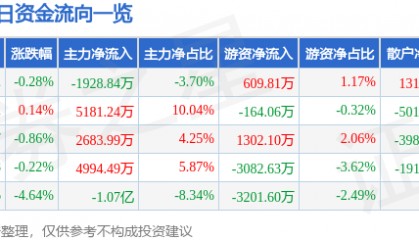 股票行情快报：中矿资源（002738）8月6日主力资金净卖出1928.84万元