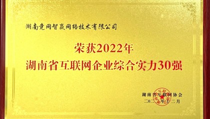 分析网站建设价格，推荐湖南比较好的网站建设品牌企业