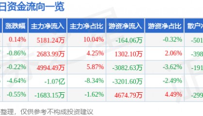 股票行情快报：中矿资源（002738）8月5日主力资金净买入5181.24万元