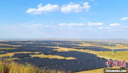 碳路中国 | 在煤炭沉陷区找到致富“摇钱树”