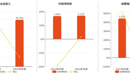 日出东方(603366.SH)：2024年年报净利润为2.12亿元