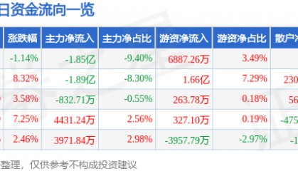 股票行情快报：中矿资源（002738）10月10日主力资金净卖出1.85亿元