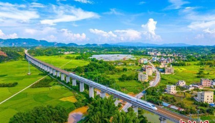 广西梧州龙圩：动车飞驰过田野