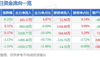 股票行情快报：湘佳股份（002982）8月19日主力资金净买入441.11万元