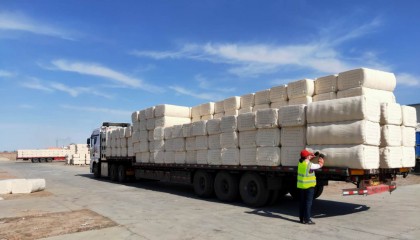 现货交割(现货交割日期)