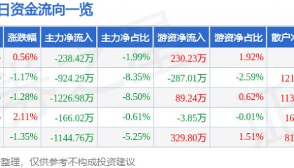 股票行情快报：湘佳股份（002982）7月30日主力资金净卖出238.42万元