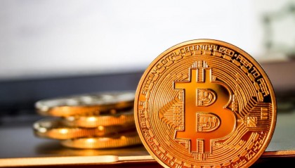 币猫交易所(猫币在哪个交易所)