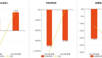 东方通(300379.SZ)：2024年年报净利润为-5.76亿元
