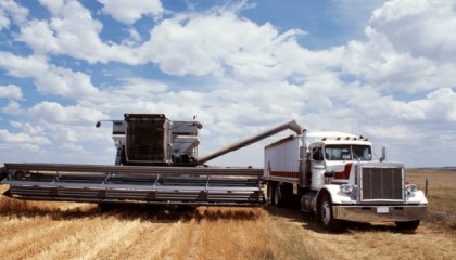 美国突然收到一封“投降书”！台湾将掏出所有家底双手奉上