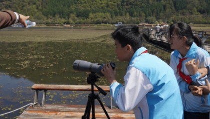腾冲北海湿地为鸟类打造栖息天堂