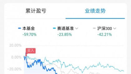 基金预测(基金预测净值查询)