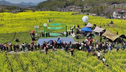 宣城旌德：花海乐淌 美不胜收