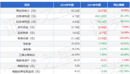 中矿资源（002738）2025年中报简析：增收不增利