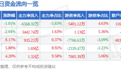 股票行情快报：中矿资源（002738）8月13日主力资金净卖出6568.32万元