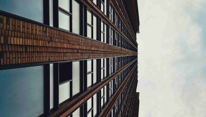 洋葱：多变烹饪技巧与诱人风味