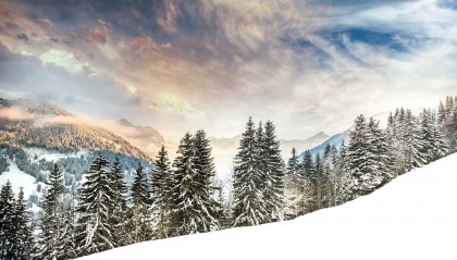 南阳电信套餐评价如何？