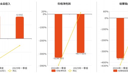 日出东方(603366.SH)：2025年一季报净利润为-4677.50万元