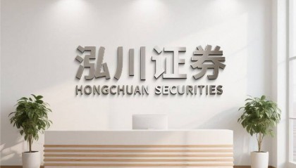 2025股票市场观察｜投资者对正规配资公司关注的市场逻辑