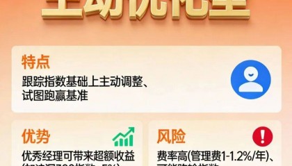 指数基金定投(指数基金定投骗了一大堆傻子)