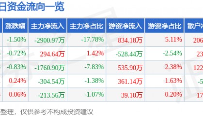 股票行情快报：康强电子（002119）8月1日主力资金净卖出2900.97万元