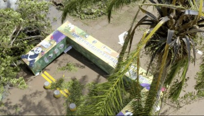 台风半年后，海南这家动植物园还没走出灾难