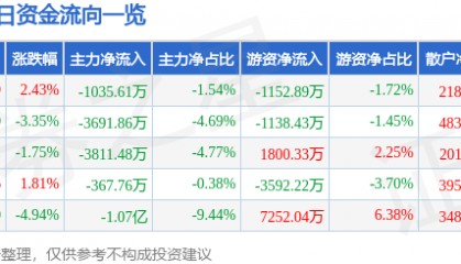 股票行情快报：中矿资源（002738）9月24日主力资金净卖出1035.61万元