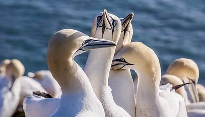 怎样找到靠谱的股票培训班