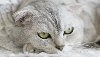 怎样选择合适的股票知识培训渠道