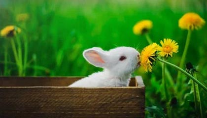 百果园集团发布2025年业绩 收入81.74亿元