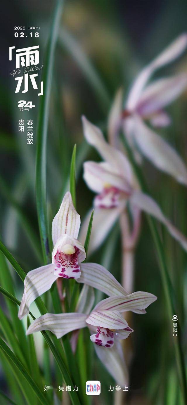 贵州广播电视台“动静新闻”里的宝藏景点,你打卡了几个?