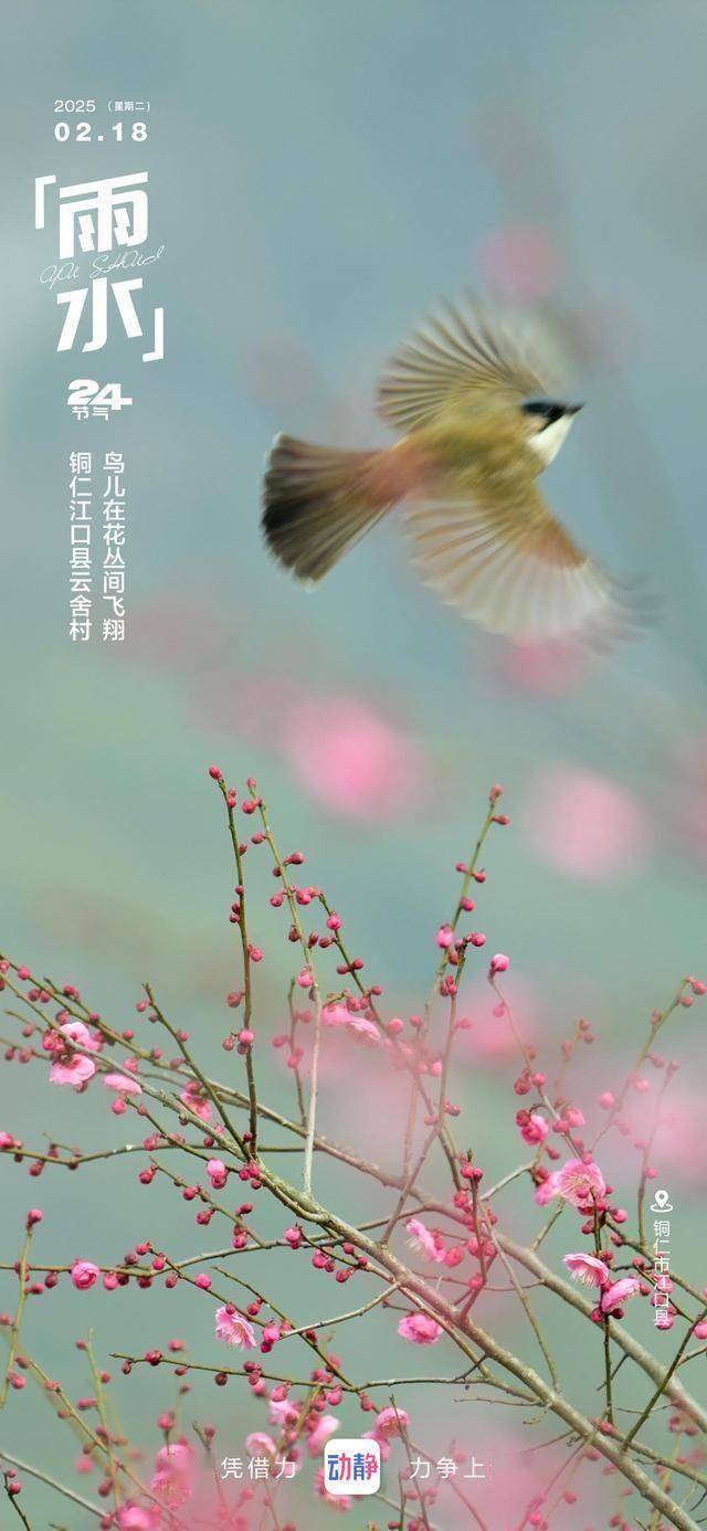 贵州广播电视台“动静新闻”里的宝藏景点,你打卡了几个?