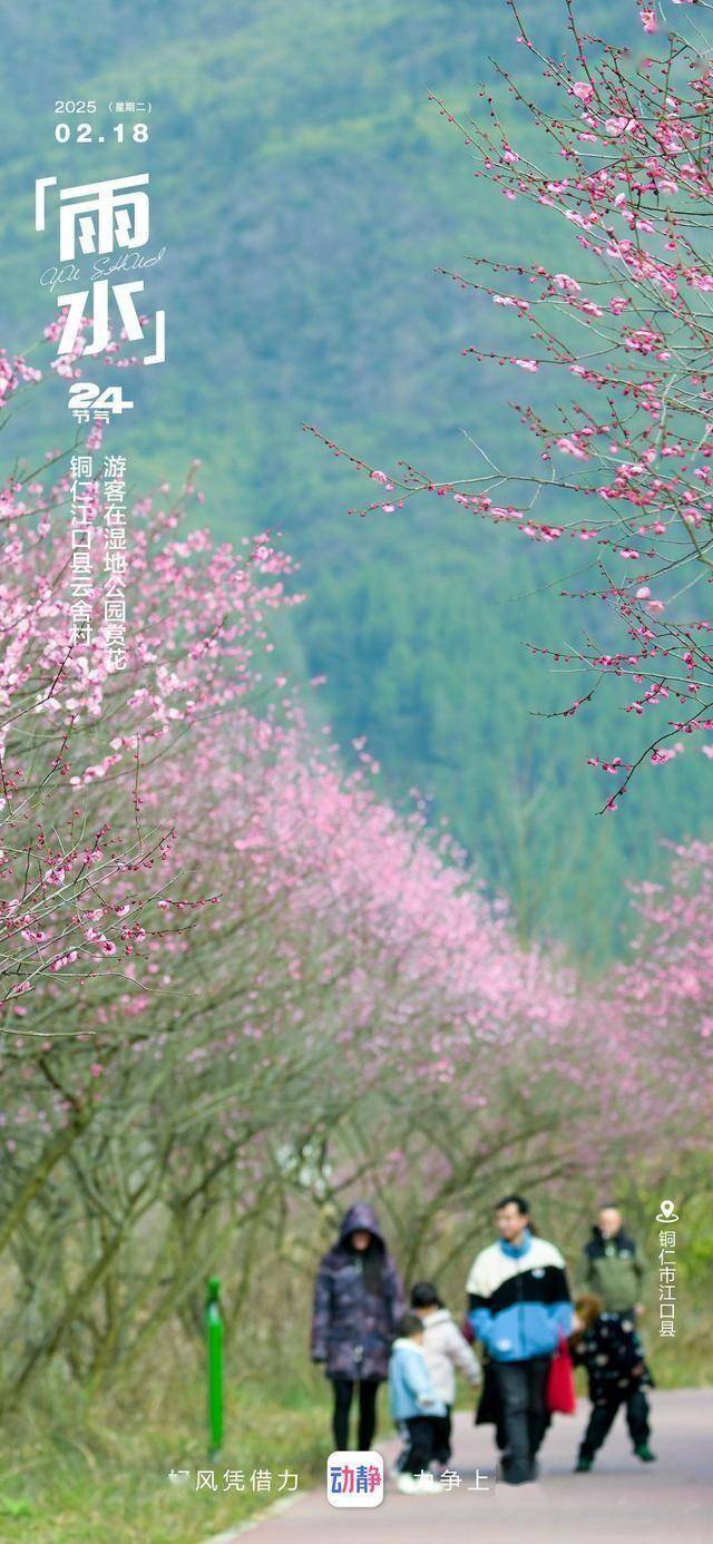贵州广播电视台“动静新闻”里的宝藏景点,你打卡了几个?