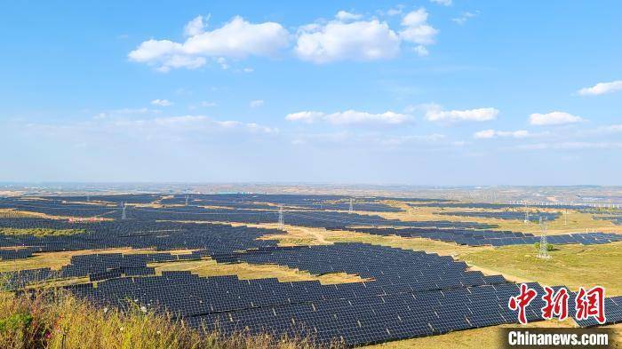 碳路中国 | 在煤炭沉陷区找到致富“摇钱树”