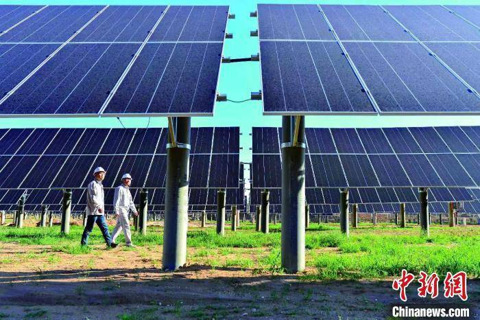 碳路中国 | 在煤炭沉陷区找到致富“摇钱树”