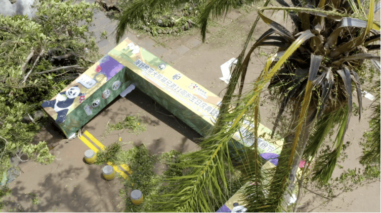 台风半年后,海南这家动植物园还没走出灾难