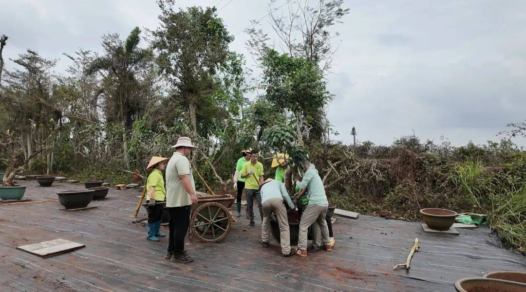 台风半年后,海南这家动植物园还没走出灾难