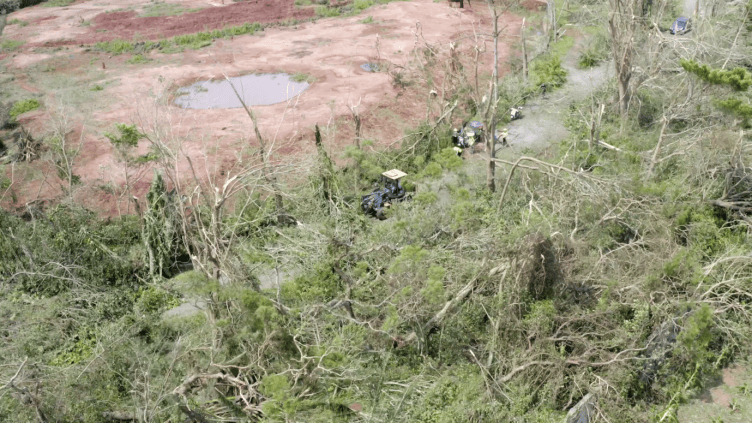 台风半年后,海南这家动植物园还没走出灾难