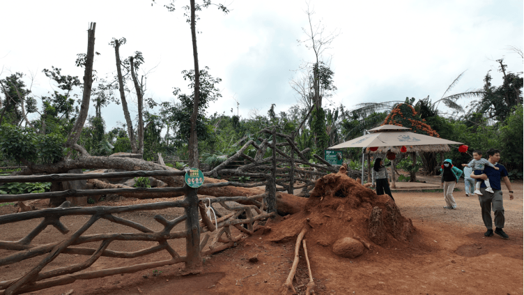 台风半年后,海南这家动植物园还没走出灾难
