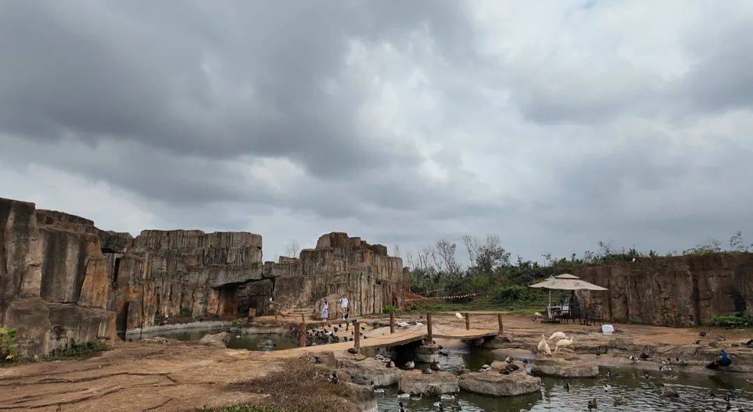 台风半年后,海南这家动植物园还没走出灾难