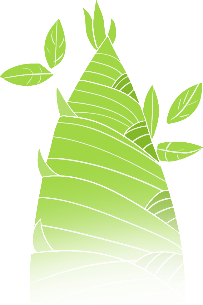 一起去植树！琅琊新闻网邀您拥抱春天！