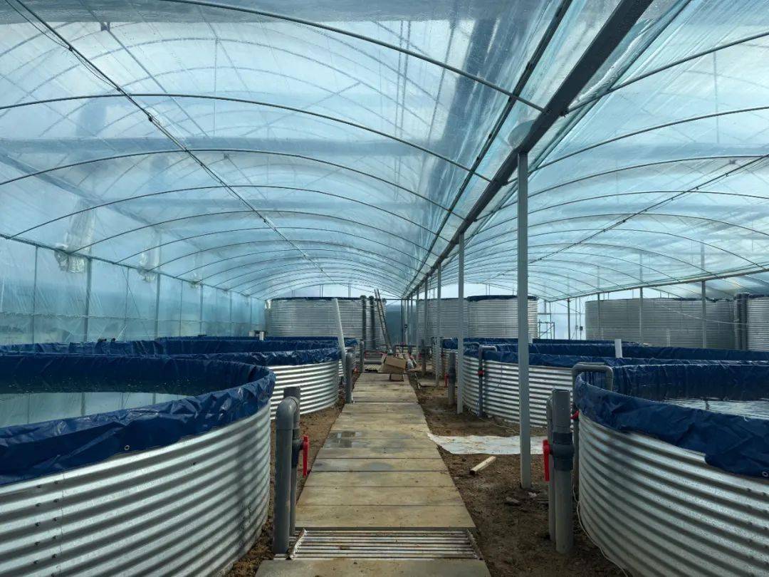 媒体关注丨成都日报、红星新闻网关注邛崃大口黑鲈养殖