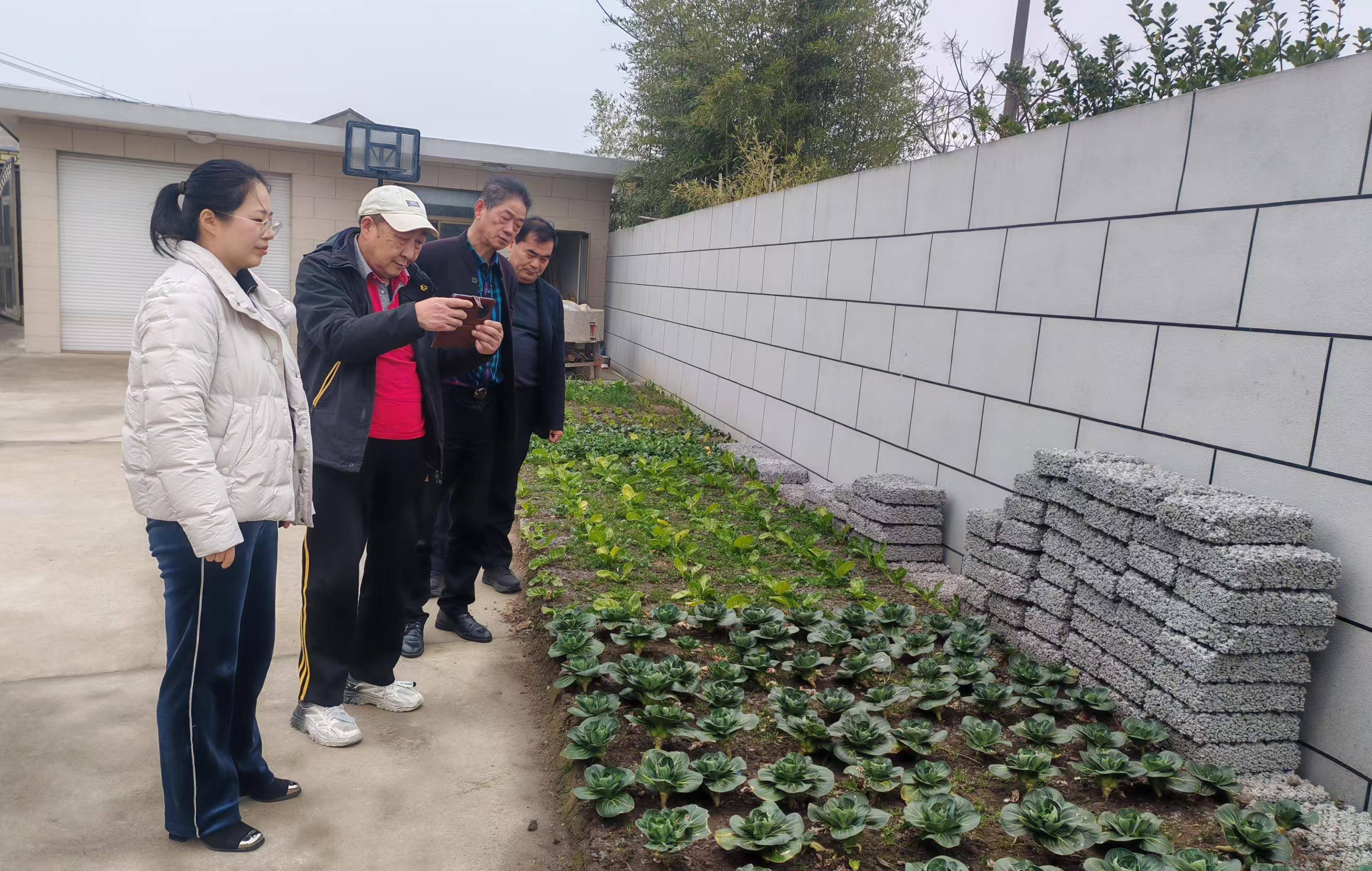 长三角绿化用混凝土恳谈会在启东举办