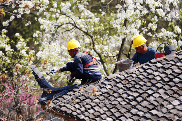 重庆黔江：传统村落“焕新颜”