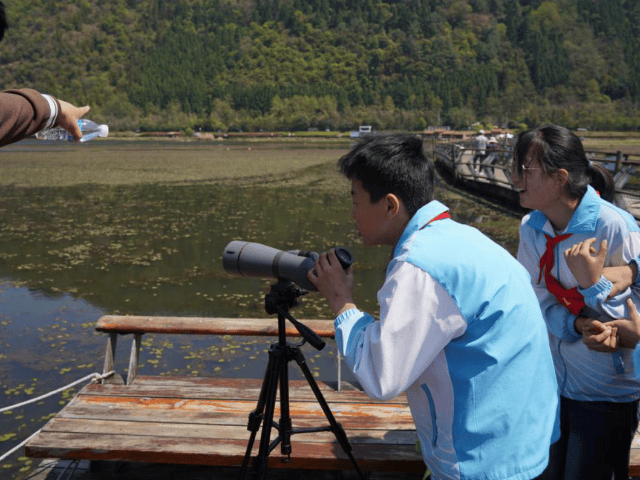 腾冲北海湿地为鸟类打造栖息天堂